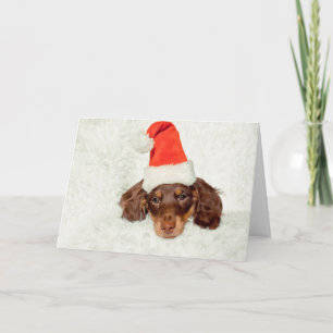Dachshund puppy Christmas card
