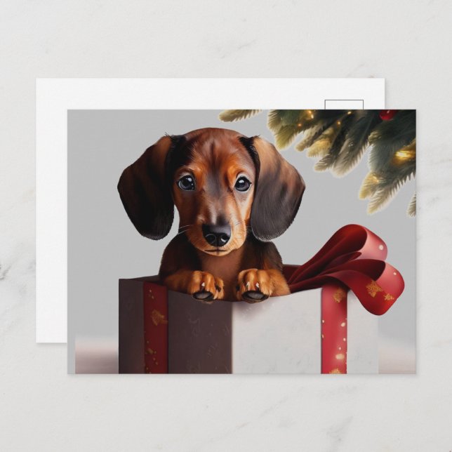 Dachshund Puppy Christmas Surprise Postcard (Front/Back)