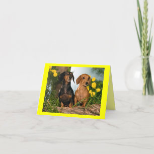 Dachshund Puppy Dog Blank Note Card
