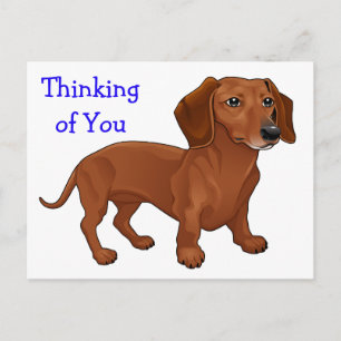 Dachshund Puppy Dog - Hello, Thinking of You, Love Postcard
