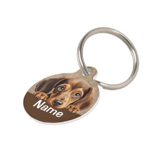 Dachshund Puppy Dog Pet  Tag