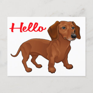 Dachshund Puppy Dog - Red Hello, Thinking of You Postcard