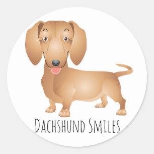 Dachshund Puppy Dog Smiles, Hello, Thinking of You Classic Round Sticker