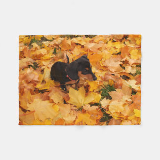 Dachshund puppy fleece blanket