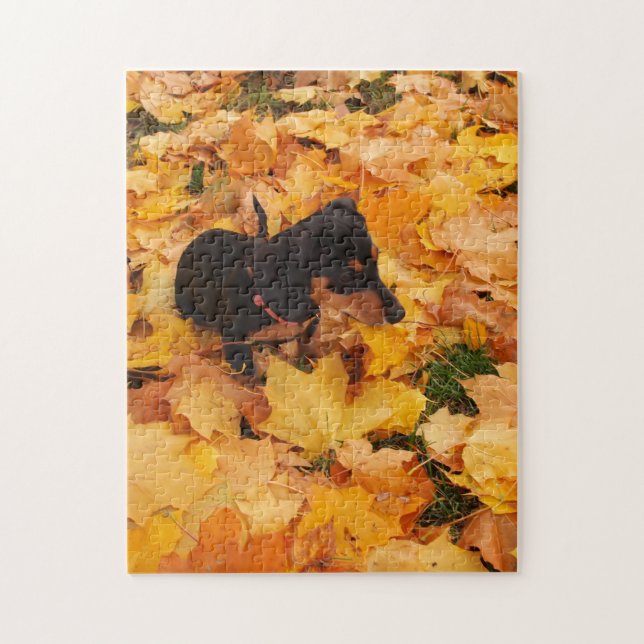 Dachshund puppy jigsaw puzzle (Vertical)