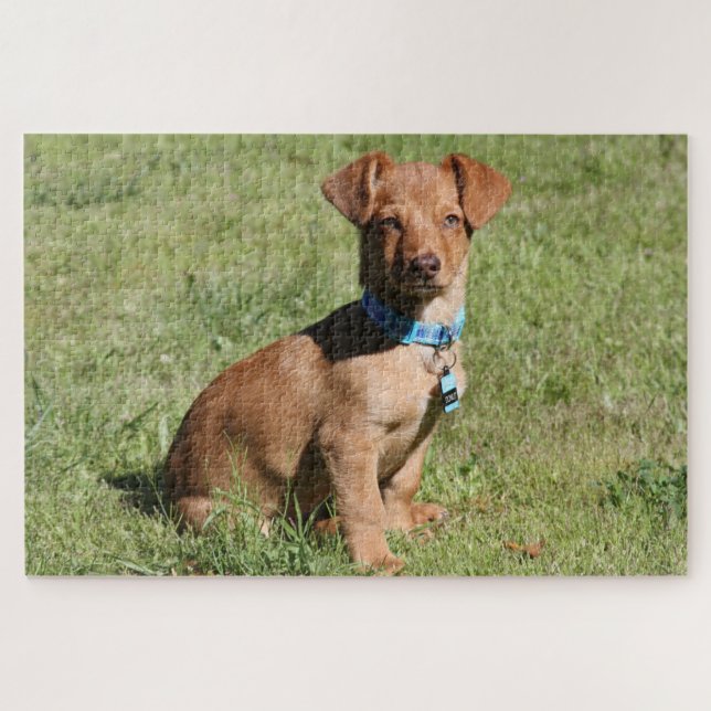 Dachshund Puppy Jigsaw Puzzle (Horizontal)