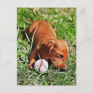 Dachshund Puppy Laying In Grass With Ball Xmas Pos Postcard