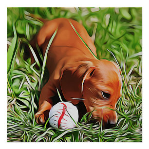Dachshund Puppy Laying In Grass With Ball Xmas Pos Poster