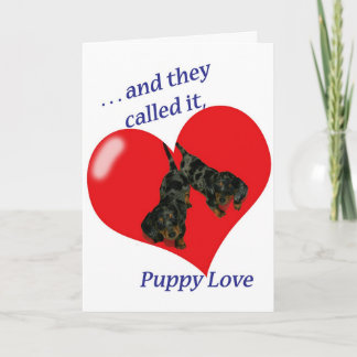 Dachshund Puppy Love Valentine's Day Card
