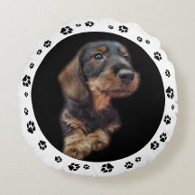 Dachshund Puppy Photo Paw Prints