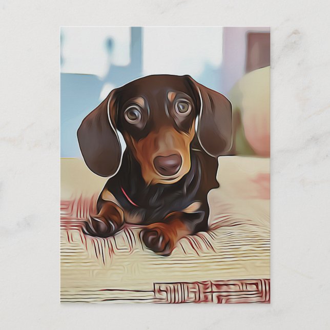Dachshund Puppy Sits On A Sofa Postcard (Front)