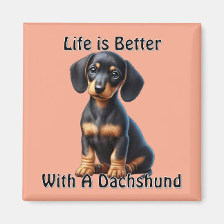 Dachshund Puppy Sitting and Looking with Innocent Magnet