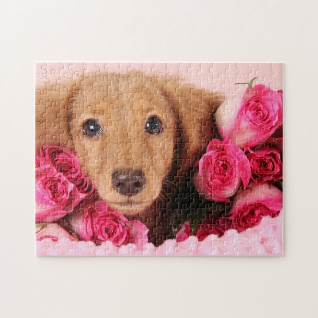Dachshund Puppy Surrounded by Roses Jigsaw Puzzle (Horizontal)