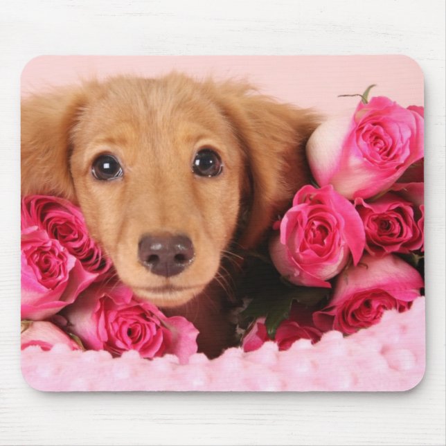 Dachshund Puppy Surrounded by Roses Mouse Mat (Front)