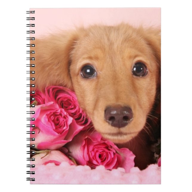 Dachshund Puppy Surrounded by Roses Notebook (Front)