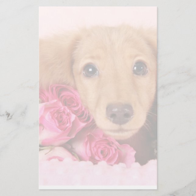 Dachshund Puppy Surrounded by Roses Stationery (Front)