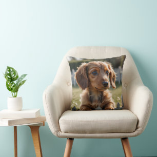 Dachshund puppy waiting at the fence cushion