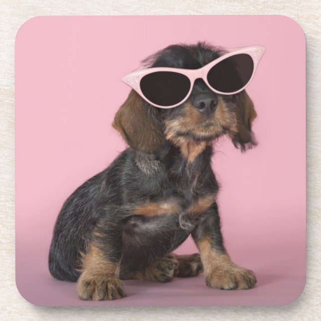 Dachshund Puppy Wearing Sunglasses Coaster (Front)
