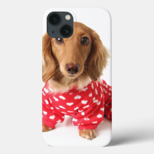 Dachshund Puppy Wearing Valentine's Outfit iPhone 13 Case