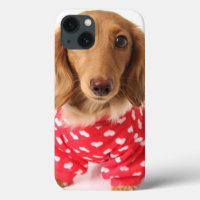 Dachshund Puppy Wearing Valentine's Outfit