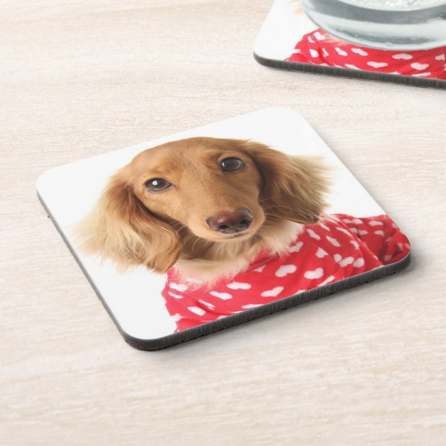 Dachshund Puppy Wearing Valentine's Outfit Coaster (Left Side)