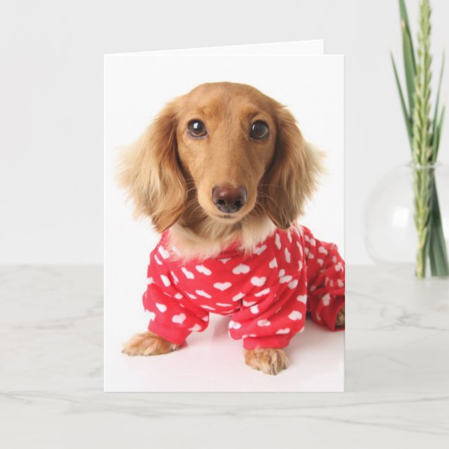 Dachshund Puppy Wearing Valentine's Outfit Holiday Card (Front)