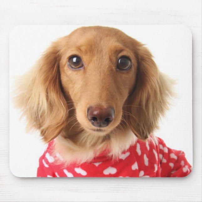 Dachshund Puppy Wearing Valentine's Outfit Mouse Mat (Front)