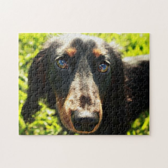 Dachshund Puzzle (Horizontal)