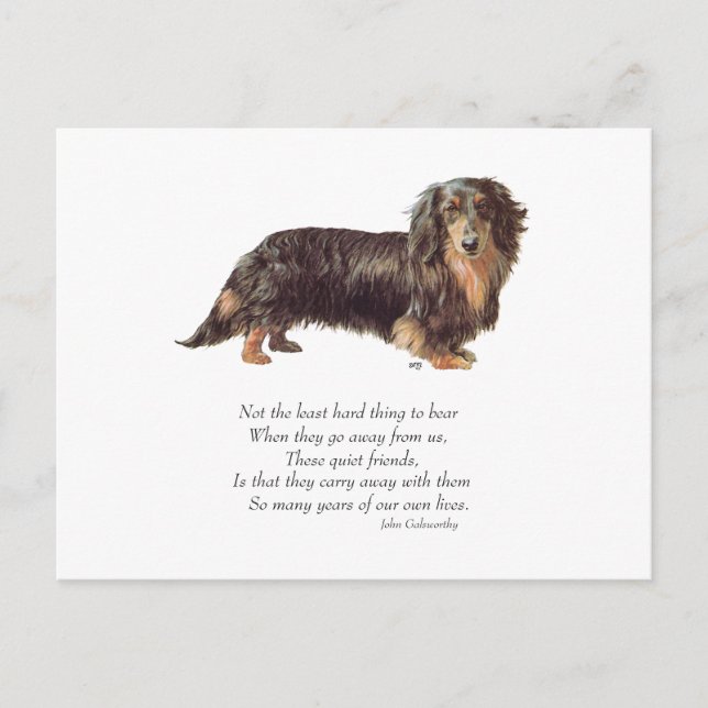 Dachshund Rainbow Bridge Postcard (Front)