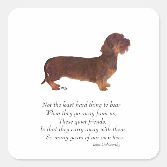 Dachshund Rainbow Bridge Square Sticker (Front)