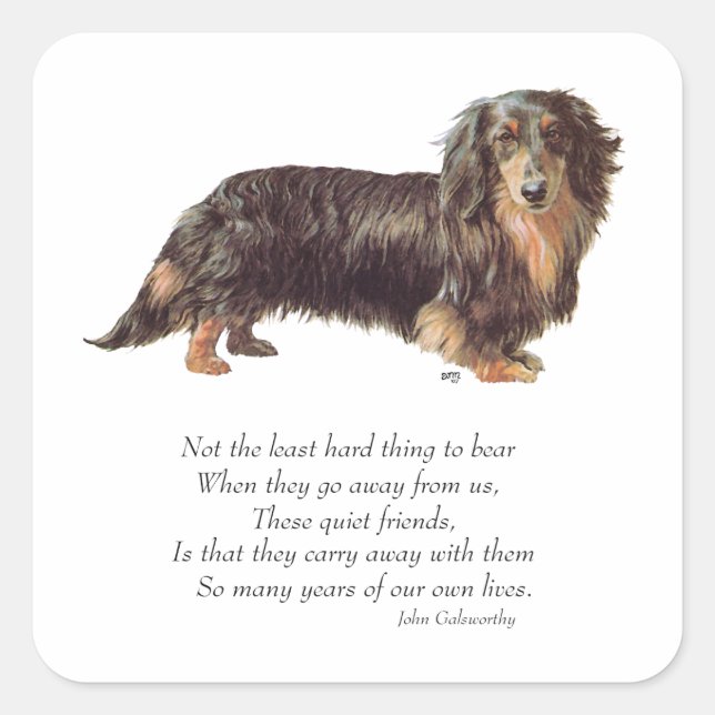 Dachshund Rainbow Bridge Square Sticker (Front)