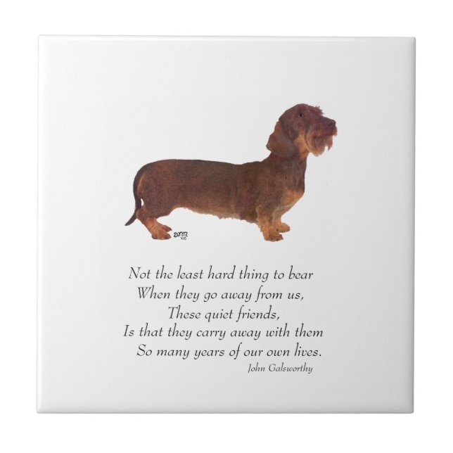 Dachshund Rainbow Bridge Tile (Front)
