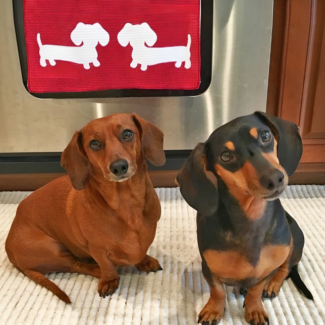 Dachshund Red Dish Towel for Wiener Dog Lovers (Dachshund kitchen gifts and goods for wiener dog lovers)