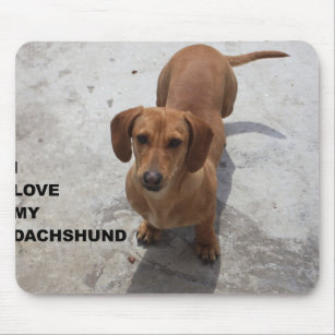 dachshund red full love w pic mouse mat