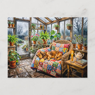 Dachshund Resting on Patchwork Chair Inside Greenh Postcard