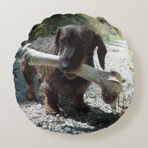 Dachshund Round Cushion
