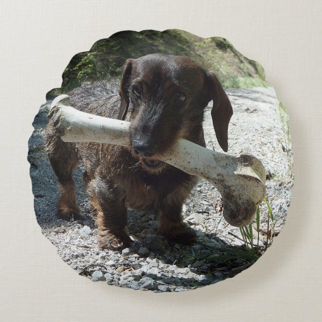 Dachshund Round Cushion (Front)