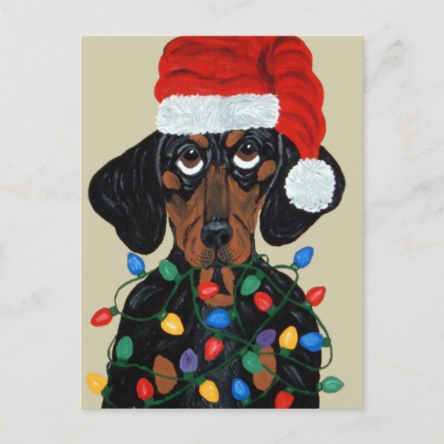 Dachshund Santa Tangled In Christmas Lights Holiday Postcard (Front)