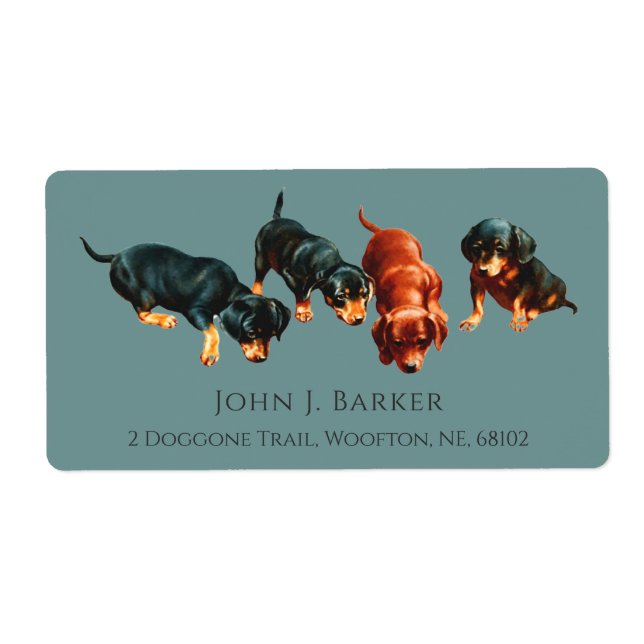 Dachshund Sausage Dog Wiener Puppies Slate Blue (Front)