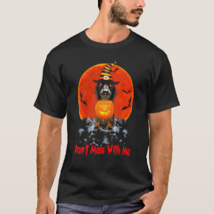 Dachshund Sausage Dog With A  Pumpkin Lamp T-Shirt
