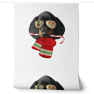 Dachshund shirt Cute Christmas Gift Dog Lovers Sun Wallpaper