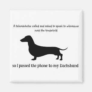 Dachshund Silhouette Funny  Magnet