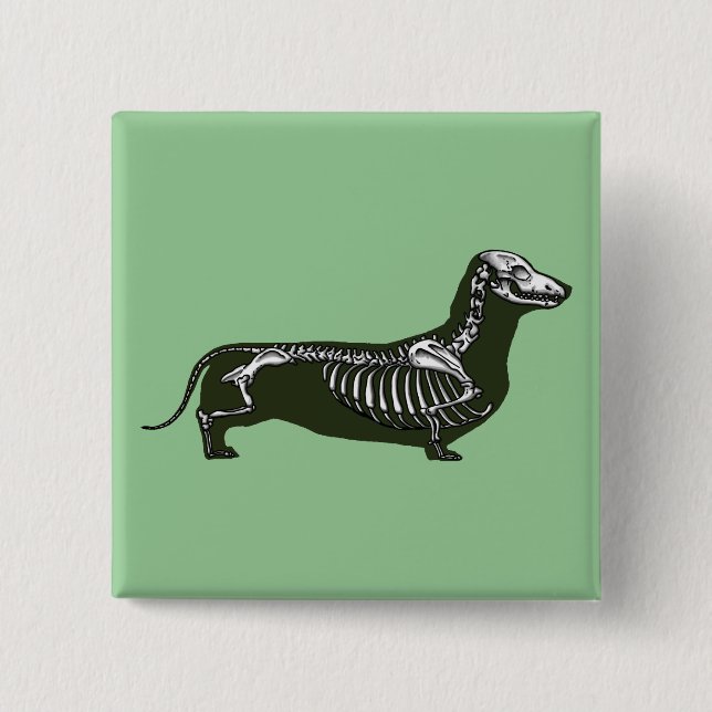 dachshund skeleton 15 cm square badge (Front)