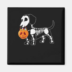 Dachshund Skeleton Halloween Magnet