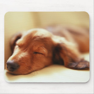 Dachshund sleeping mouse mat