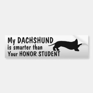 Dachshund - Smarter than honour student - funny Bumper Sticker