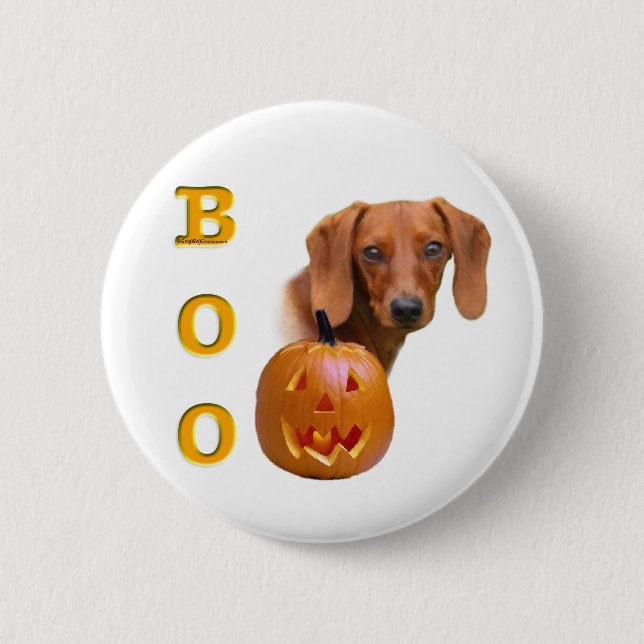 Dachshund (smooth) Boo 6 Cm Round Badge (Front)
