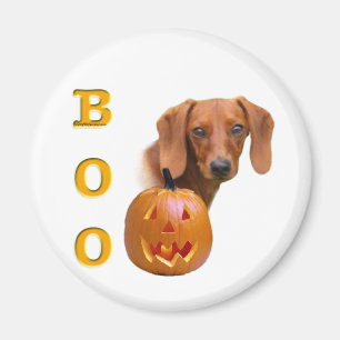 Dachshund (smooth) Boo Magnet
