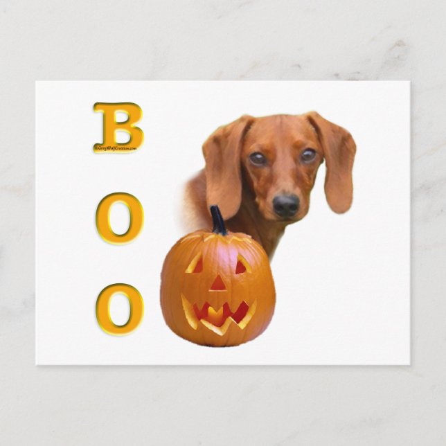 Dachshund (smooth) Boo Postcard (Front)