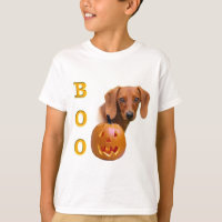 Dachshund (smooth) Boo